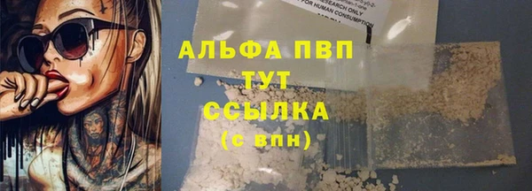 стафф Елизово
