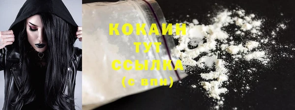 стафф Елизово
