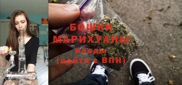 ешки Заводоуковск