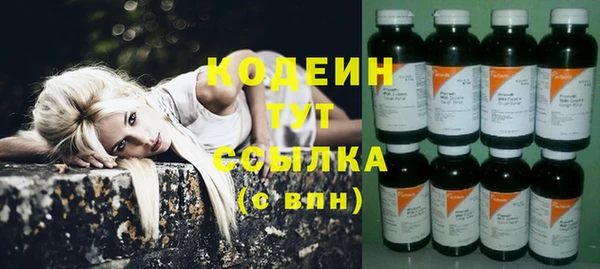 стафф Елизово
