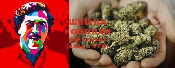 метадон Ельня