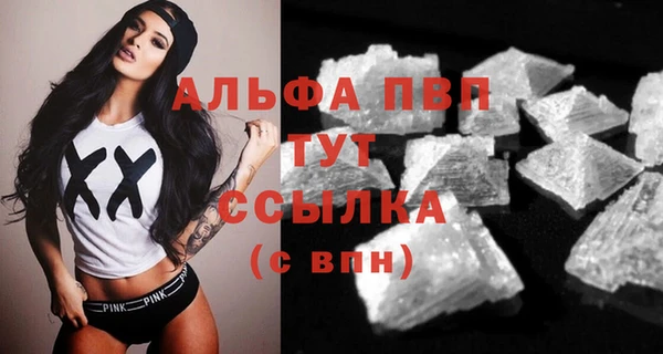 стафф Елизово