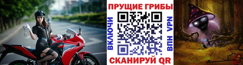 Галлюциногенные грибы Cubensis Инта